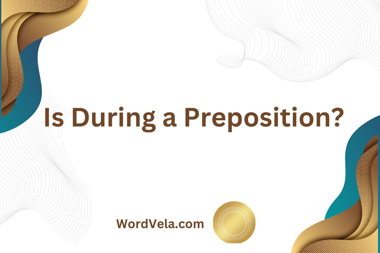 Is During a Preposition? ( A  Guide to Understanding its Usage!)