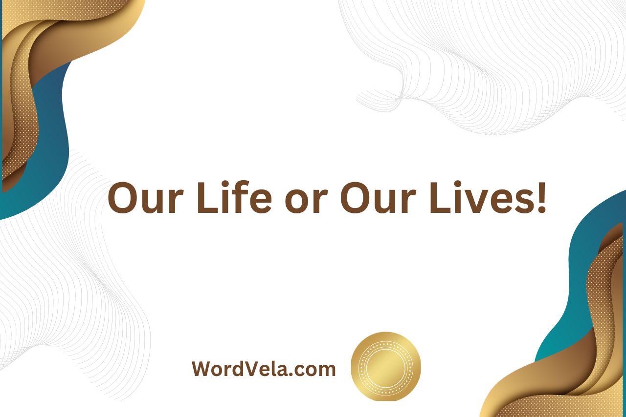 Our Life or Our Lives! (What Should Be Used!)