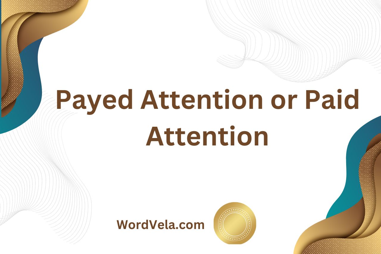 Payed Attention or Paid Attention