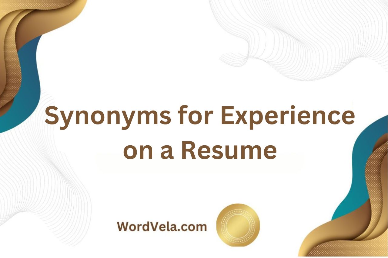 Synonyms for Experience on a Resume